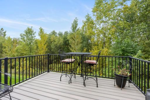 1007 Alexander Court, Montrose, MN 55363