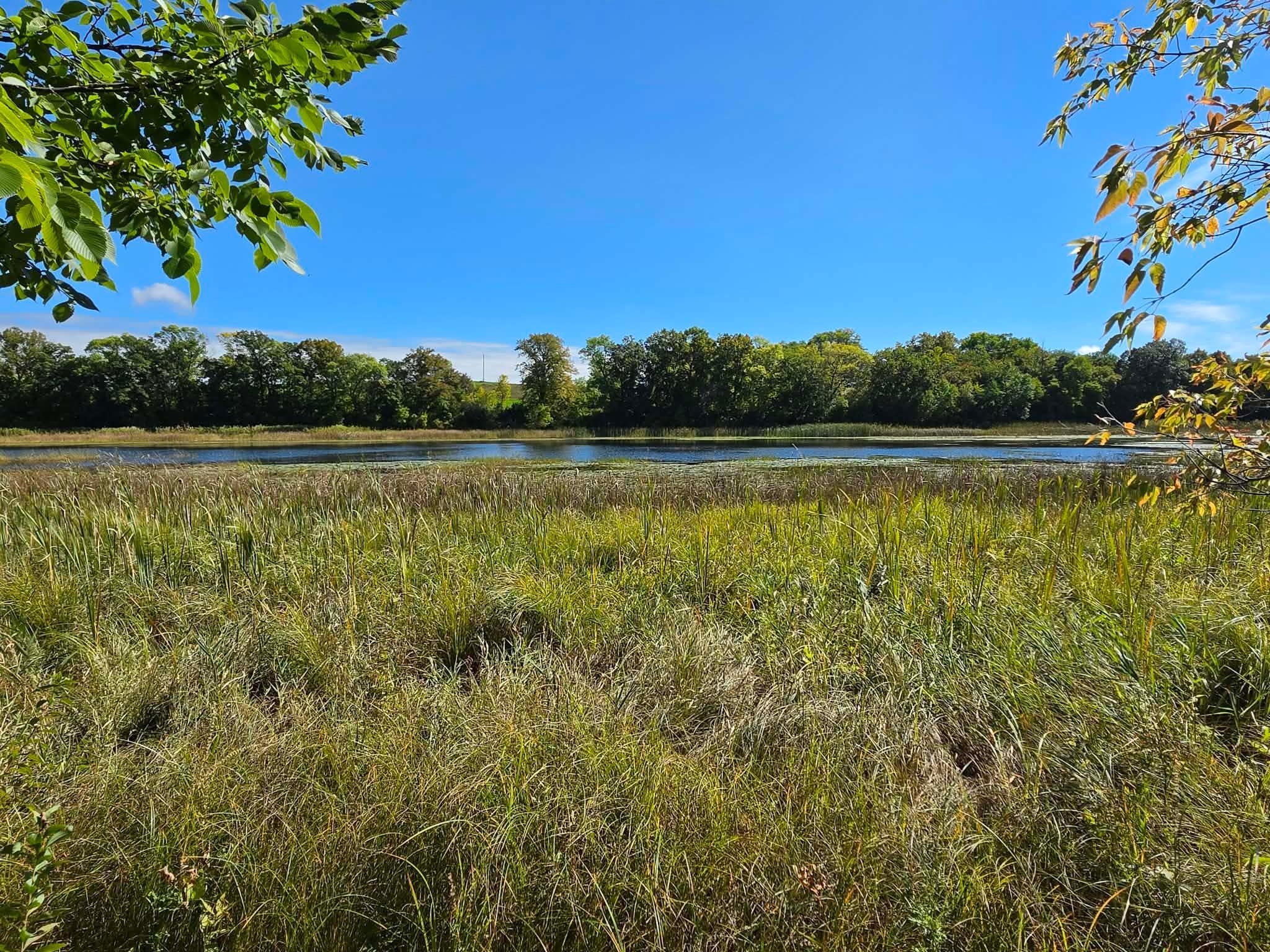 Property photo for TBD Pleasant Lake Trail, Underwood, MN 56586