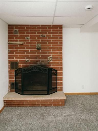 Wood-burning fireplace - needs flue repaired