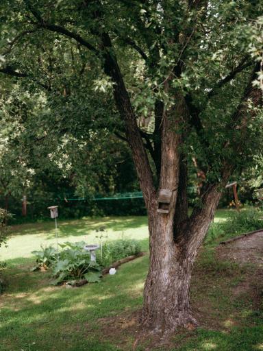 5173 Shadowwood Drive NE, Sauk Rapids, MN 56379
