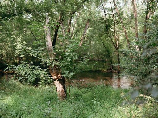 Picturesque Mayhew Creek gently winds through the backyard
