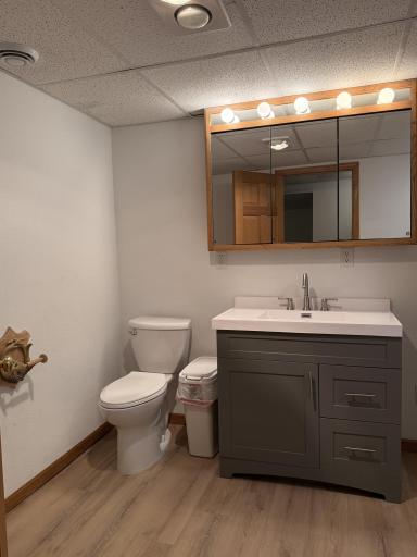 5173 Shadowwood Drive NE, Sauk Rapids, MN 56379