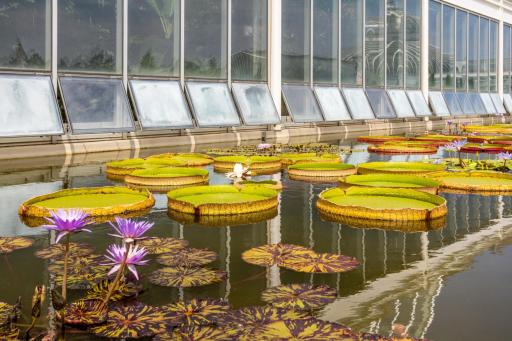 1424 Almond Avenue, Saint Paul, MN 55108
