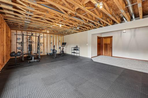 Lower level future family-Recreation room
