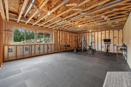 Lower level future family-Recreation room