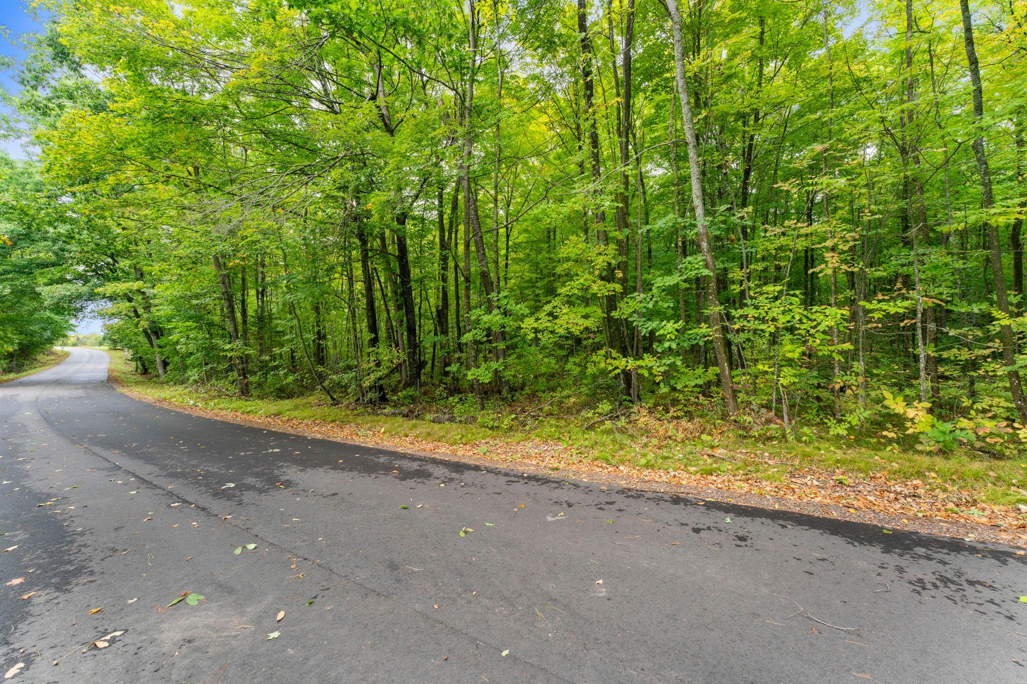 15-web-or-mls-W6841 Golf Course Road-1.jpg