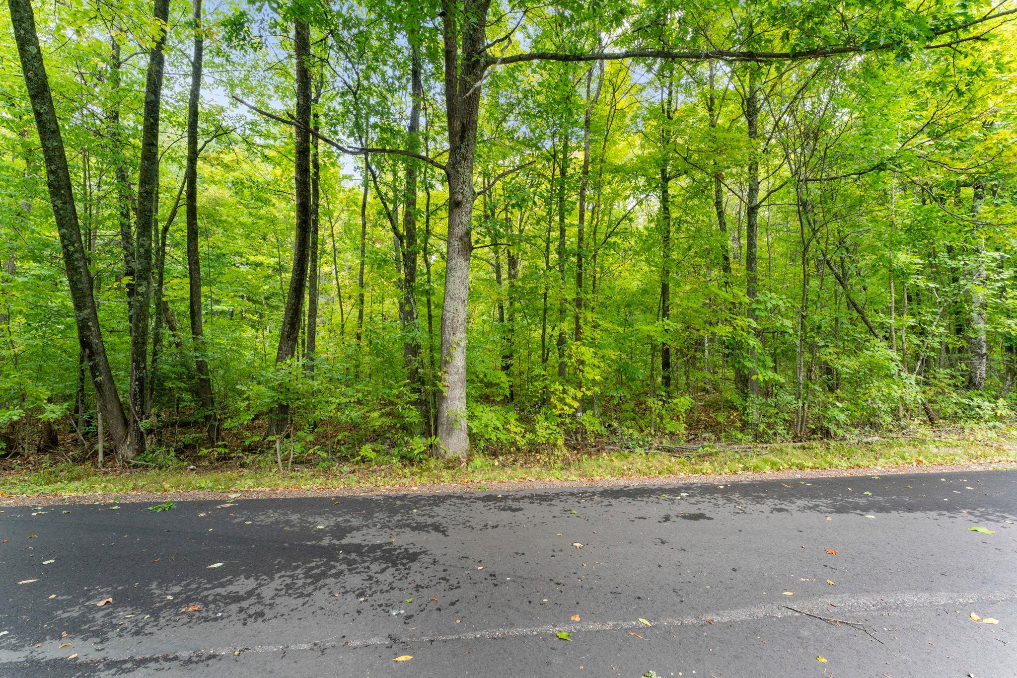 17-web-or-mls-W6841 Golf Course Road-11.jpg