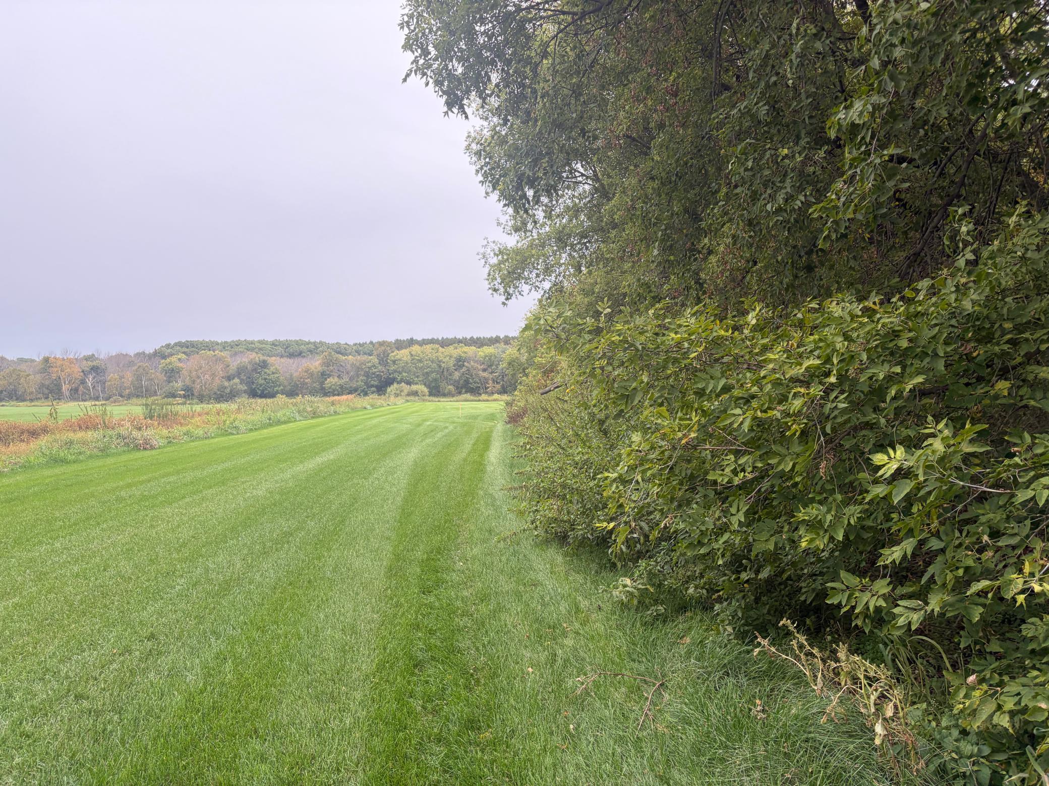 East Side of Parcel.jpg