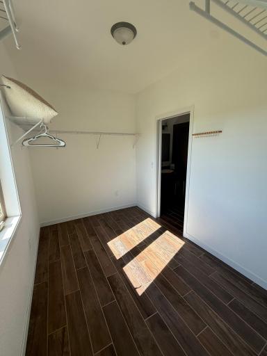 Master Bedroom: Walk-in Closet