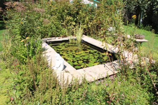 Koi Pond 8ft L, 4 ft W 4 ft Deep.JPG