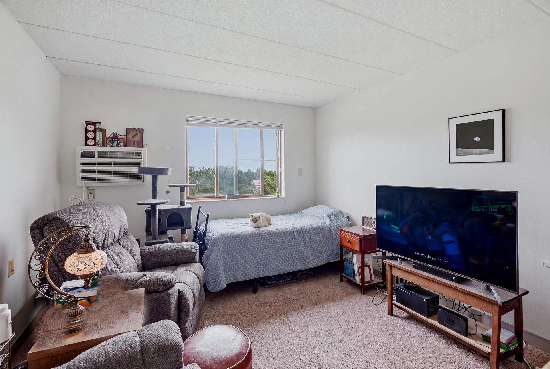 501 - 985 Ivy Ave E MLS-104.jpg