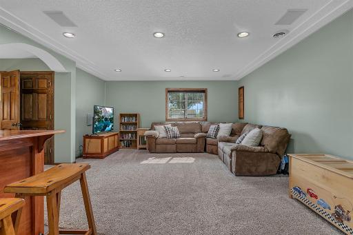 Lower level living room