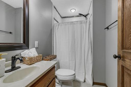 Lower level full bathroom