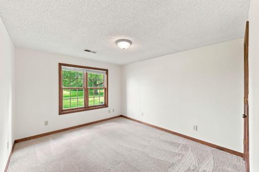 Lower Level Bedroom with Walk In Closet and Fabulous Views!