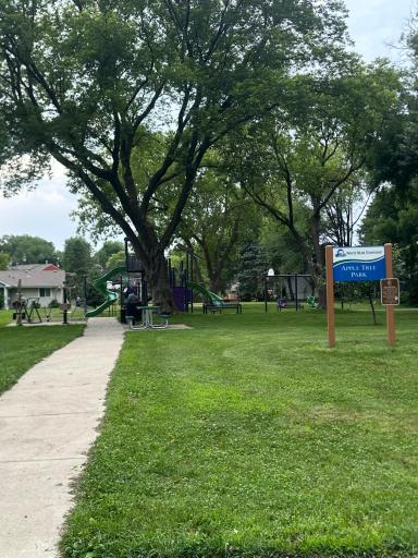Walk to Apple Tree Park With Large Play Structure, Swings and Fitness circuit! Fun for Everyone!