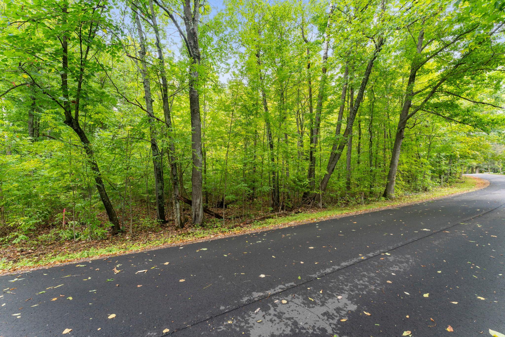 18-web-or-mls-W6841 Golf Course Road-16.jpg