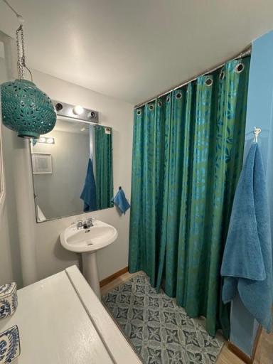 Lower level bathroom