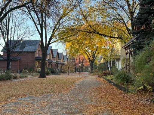 Milwaukee Avenue in Fall