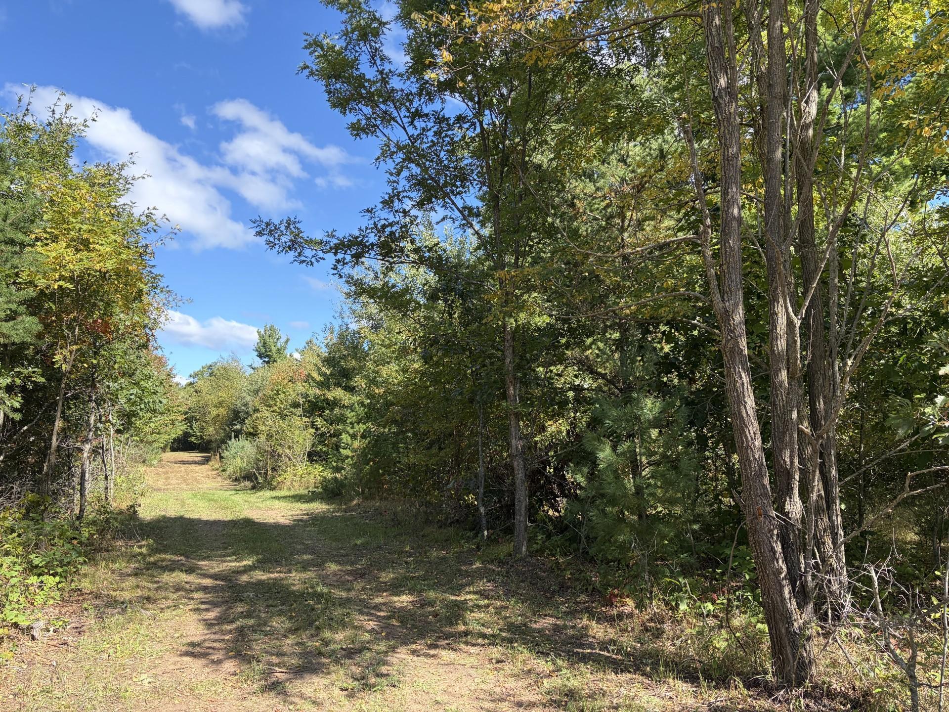 Property photo for XXX Bluebird Trail, Webster, WI 54893
