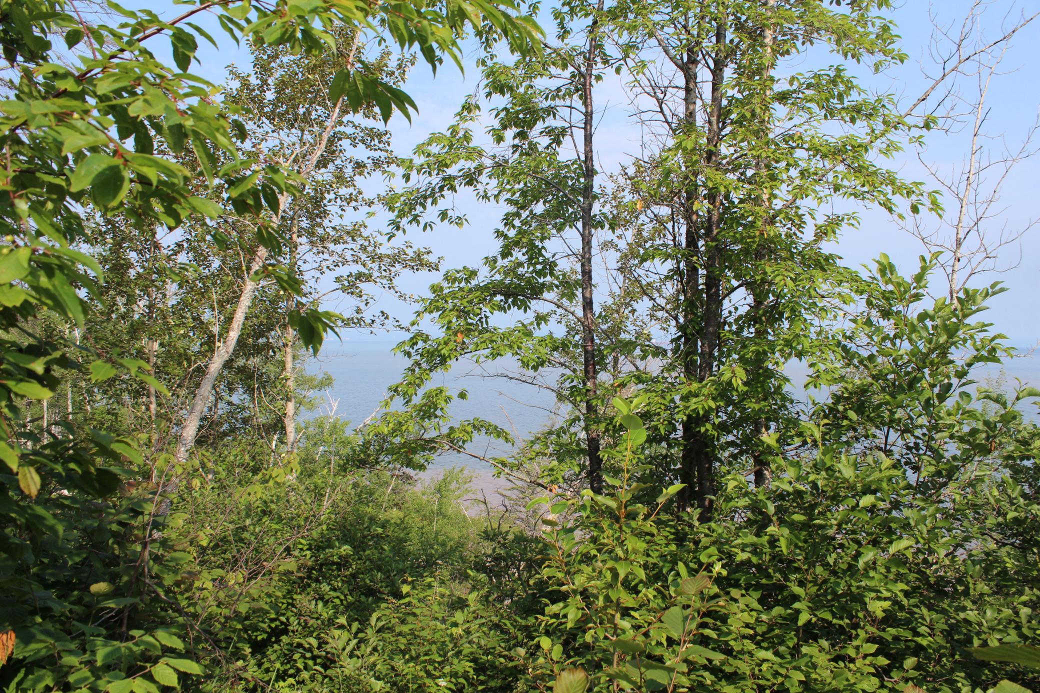 5.3 ACRES