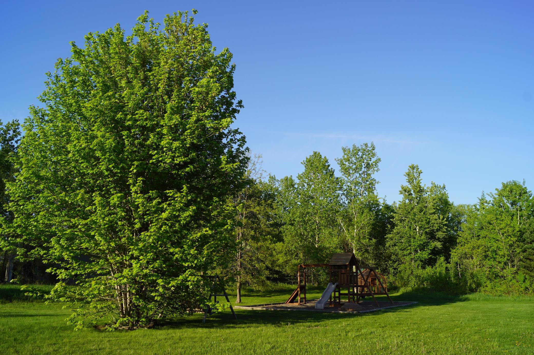 Photo 35