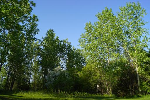 14318 316th Avenue, Princeton, MN 55371