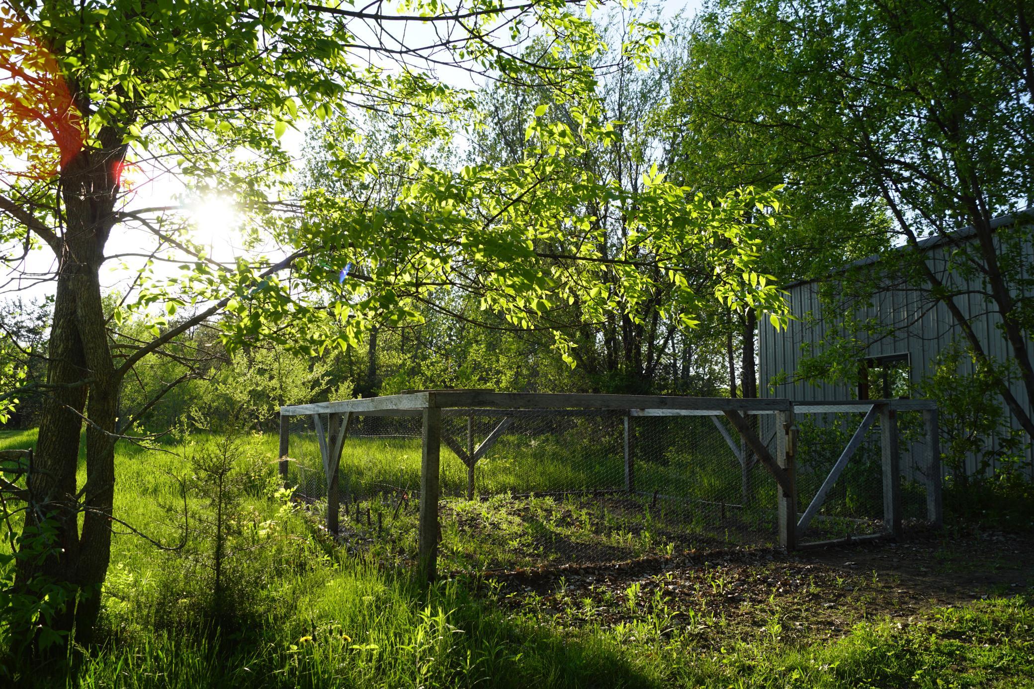 Photo 31