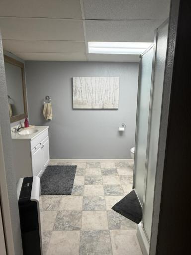 Basement 3/4 Bathroom