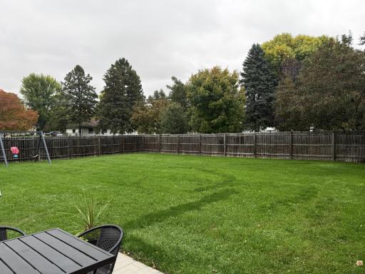 Back yard