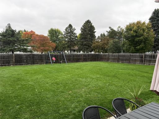 Back yard