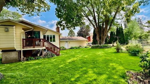Expansive, tree lined backyard. Space to play, garden, or unwind outdoors.