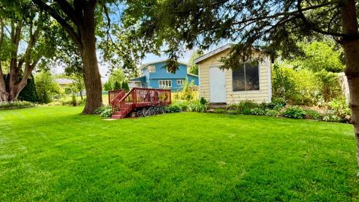 Spacious backyard with mature shade trees, room to roam