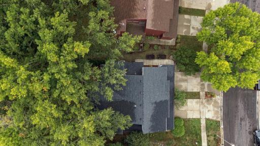 Overhead View