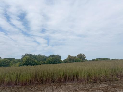 TBD (L1-SM East) 269th Avenue NW, Isanti, MN 55040