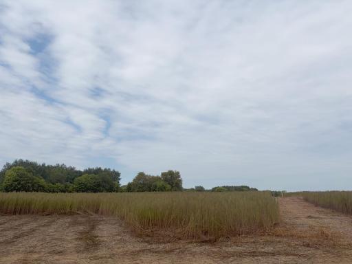 TBD (L1-SM East) 269th Avenue NW, Isanti, MN 55040