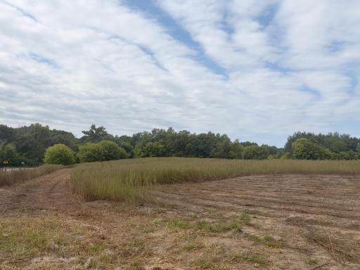 Welcome to Lot 1 Stanford Meadows East. This beautiful lot is 6.08 acres!