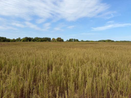 Welcome to Lot 2 Stanford Meadows East. This beautiful lot is 3 acres!