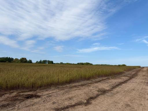 TBD (L3-SM East) Yellowpine Court NW, Isanti, MN 55040