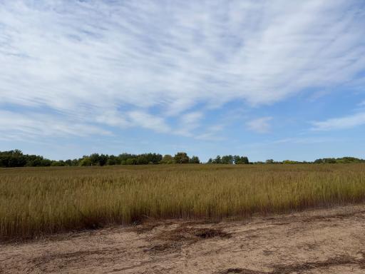 Welcome to Lot 3 Stanford Meadows East. This beautiful lot is 3 acres!