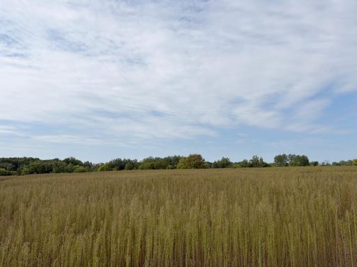 Welcome to Lot 4 Stanford Meadows East. This beautiful lot is 2.97 acres!