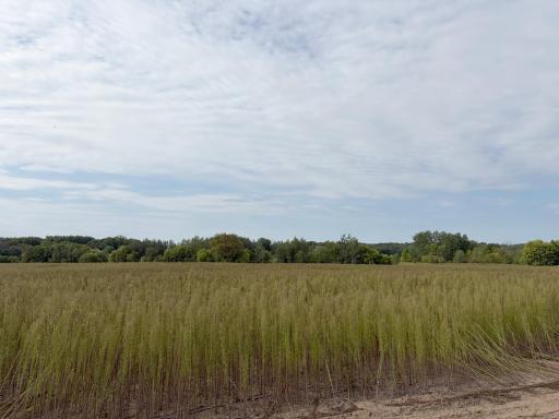 Welcome to Lot 5 Stanford Meadows East. This beautiful lot is 6.36 acres!
