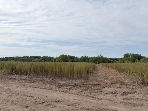 TBD (L5-SM East) Yellowpine Court NW, Isanti, MN 55040