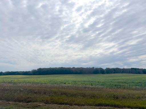 TBD (L5-SM East) Yellowpine Court NW, Isanti, MN 55040