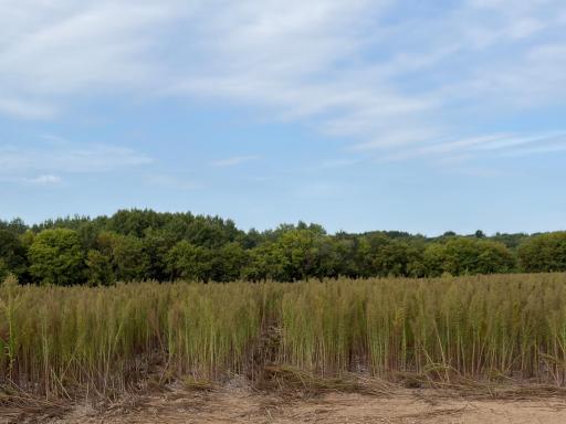Welcome to Lot 6 Stanford Meadows East. This beautiful lot is a huge 16.97 acres!!