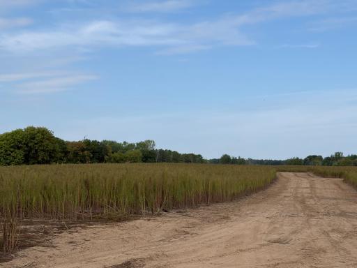 TBD (L6-SM East) Yellowpine Court NW, Isanti, MN 55040