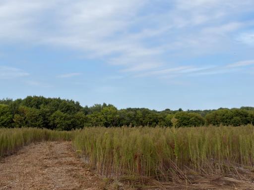 TBD (L6-SM East) Yellowpine Court NW, Isanti, MN 55040