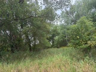TBD (L7-SM East) Flamingo Street NW, Isanti, MN 55040