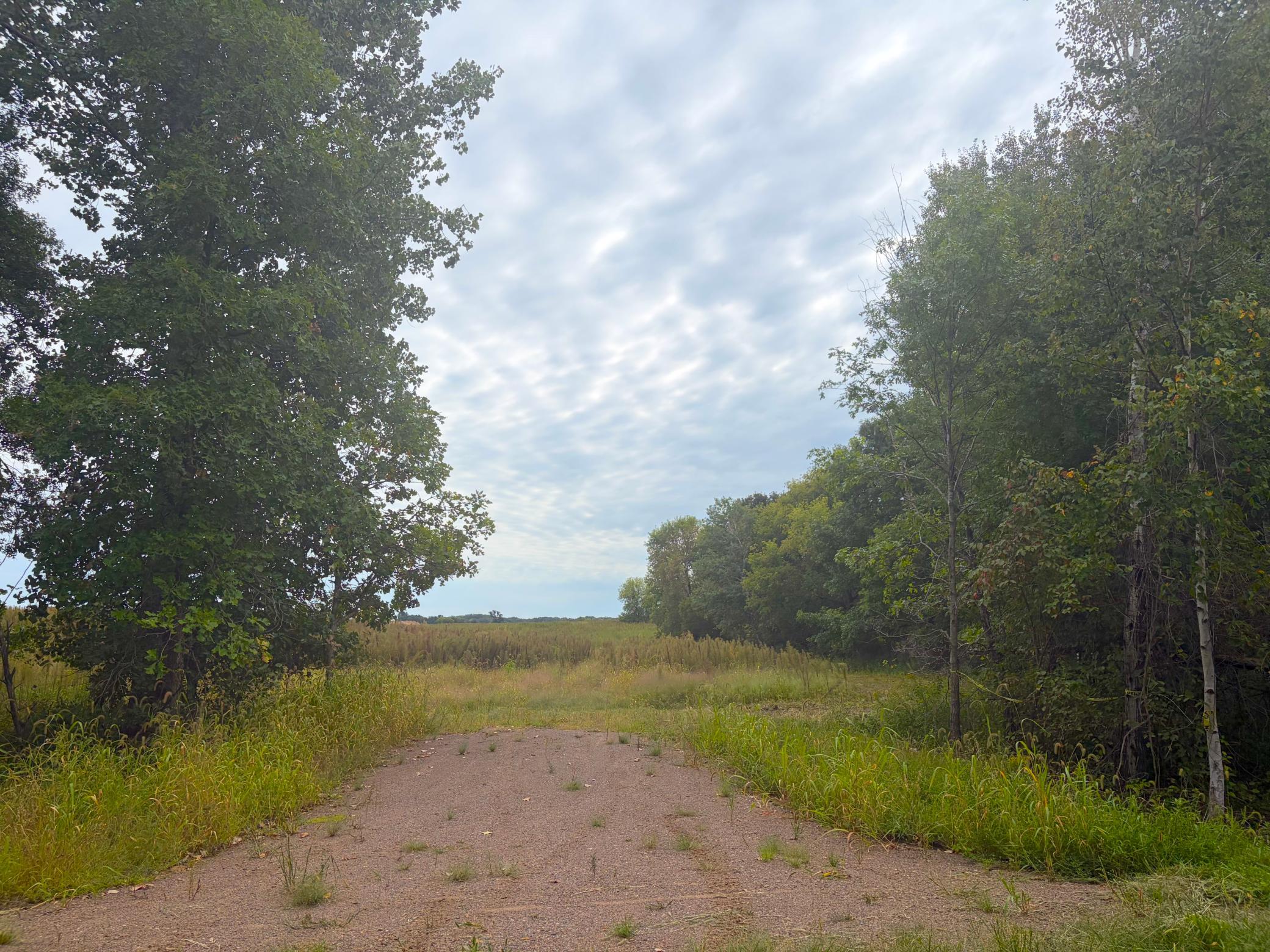 Welcome to Lot 7 Stanford Meadows East. This beautiful lot is 5.04 acres!
