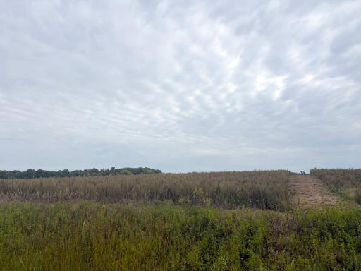 TBD (L8-SM East) Flamingo Street NW, Isanti, MN 55040