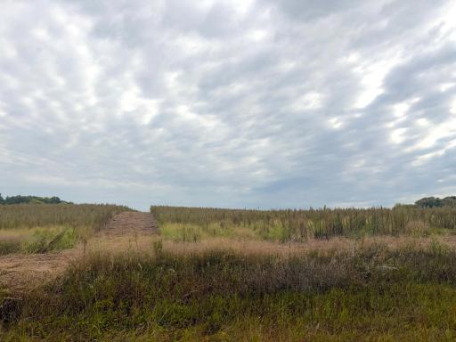 TBD (L8-SM East) Flamingo Street NW, Isanti, MN 55040